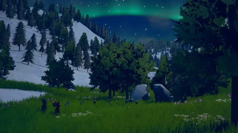The valley at night, with green northern lights in the sky